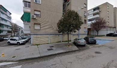 Tarimas Vivanco